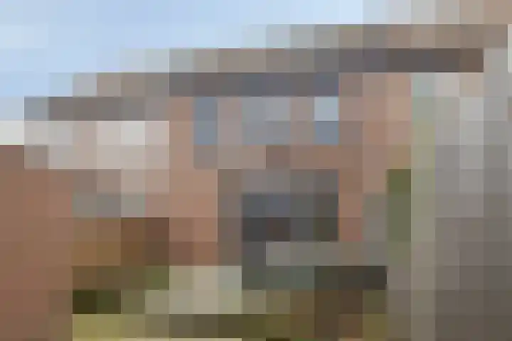 Noordgeest 24 Bergen op Zoom thumbnail 26