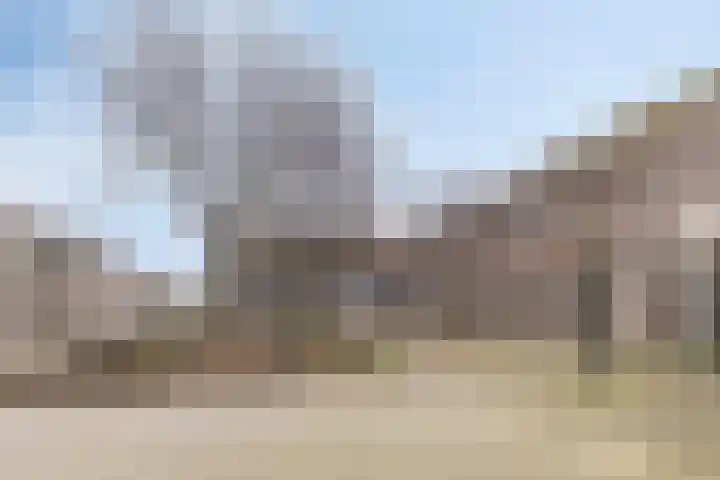 Noordgeest 24 Bergen op Zoom thumbnail 31
