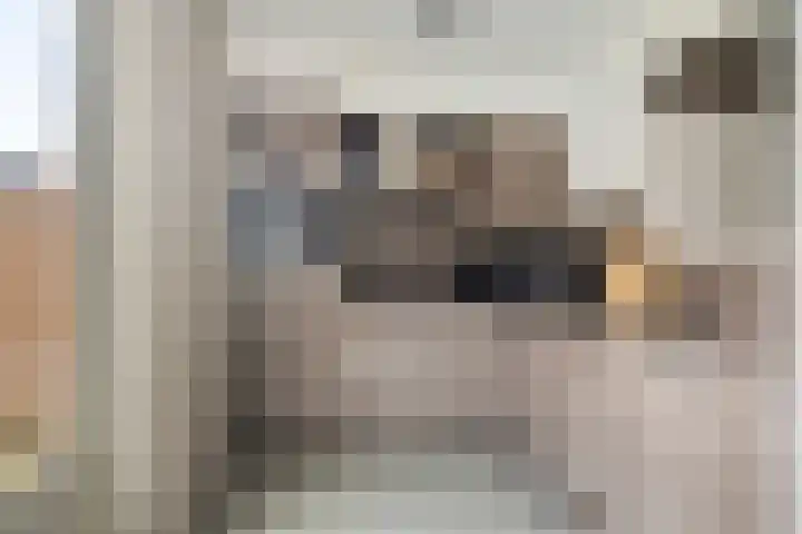 Noordgeest 24 Bergen op Zoom thumbnail 9