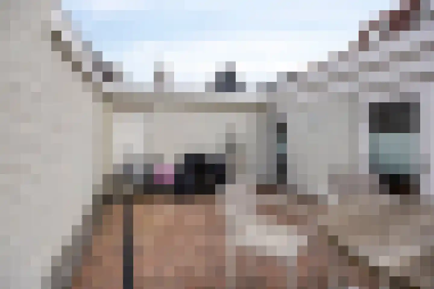 Noordhaven 116 Zevenbergen thumbnail 31