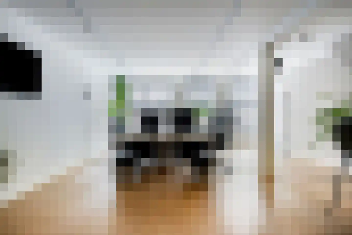 Noordhaven 116 Zevenbergen thumbnail 5