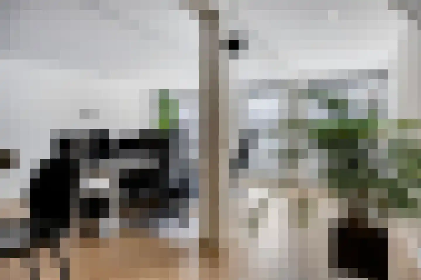 Noordhaven 116 Zevenbergen thumbnail 7