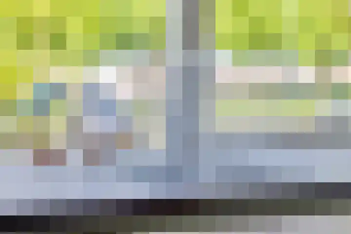 Noordhil 10 Bergen op Zoom thumbnail 15