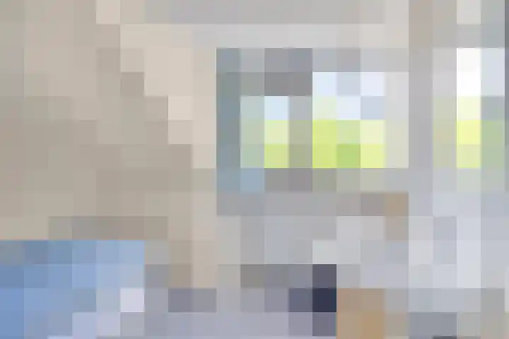 Noordhil 10 Bergen op Zoom thumbnail 34