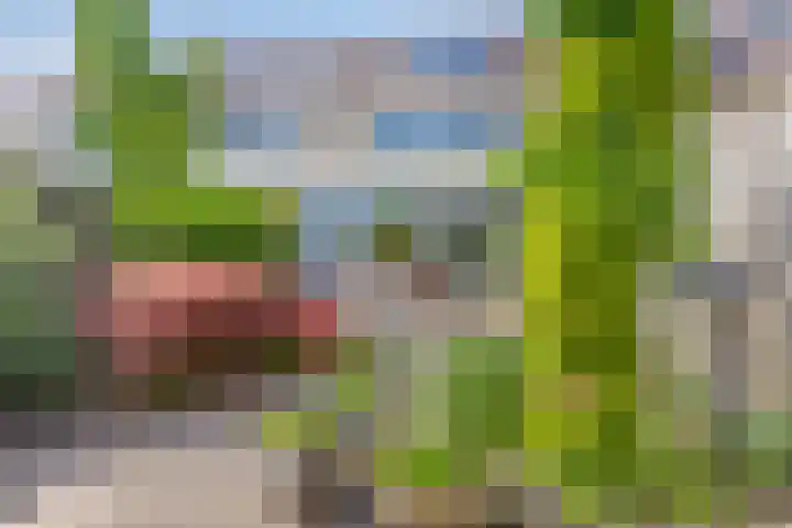 Noordhil 10 Bergen op Zoom thumbnail 35