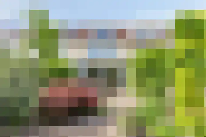 Noordhil 10 Bergen op Zoom thumbnail 36