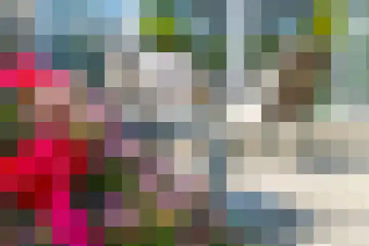 Noordhil 10 Bergen op Zoom thumbnail 37