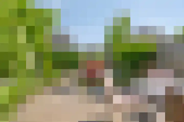 Noordhil 10 Bergen op Zoom thumbnail 39