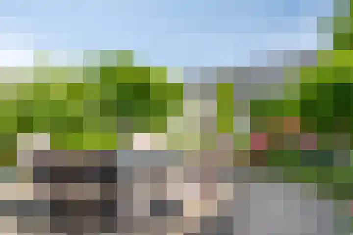 Noordhil 10 Bergen op Zoom thumbnail 40