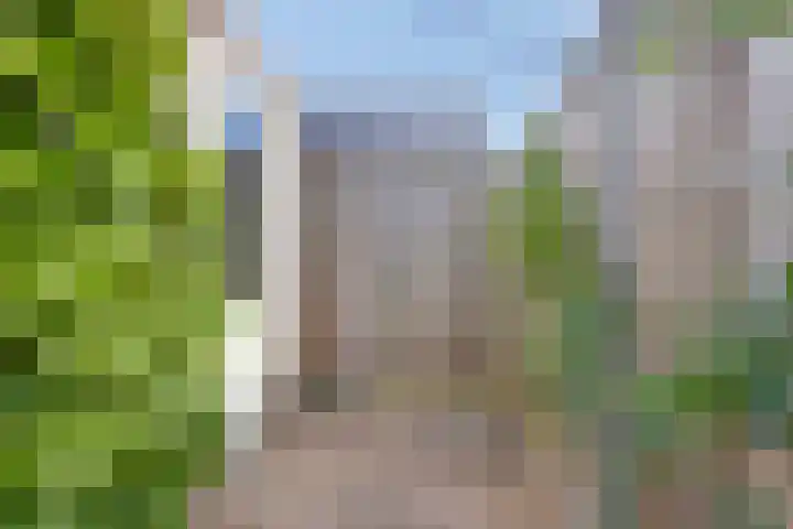 Noordhil 10 Bergen op Zoom thumbnail 41