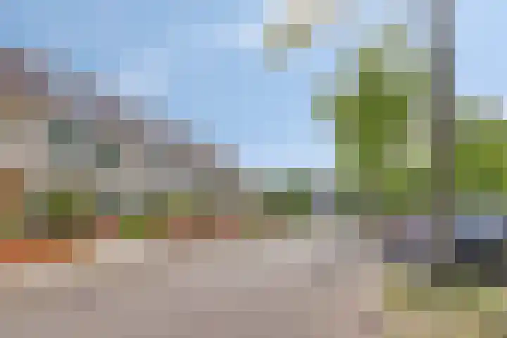 Noordhil 10 Bergen op Zoom thumbnail 44