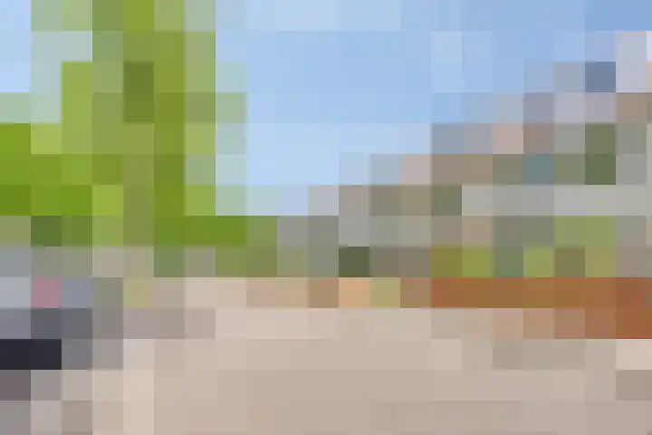 Noordhil 10 Bergen op Zoom thumbnail 45