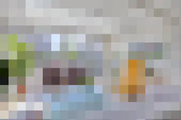 Noordhil 10 Bergen op Zoom thumbnail 8