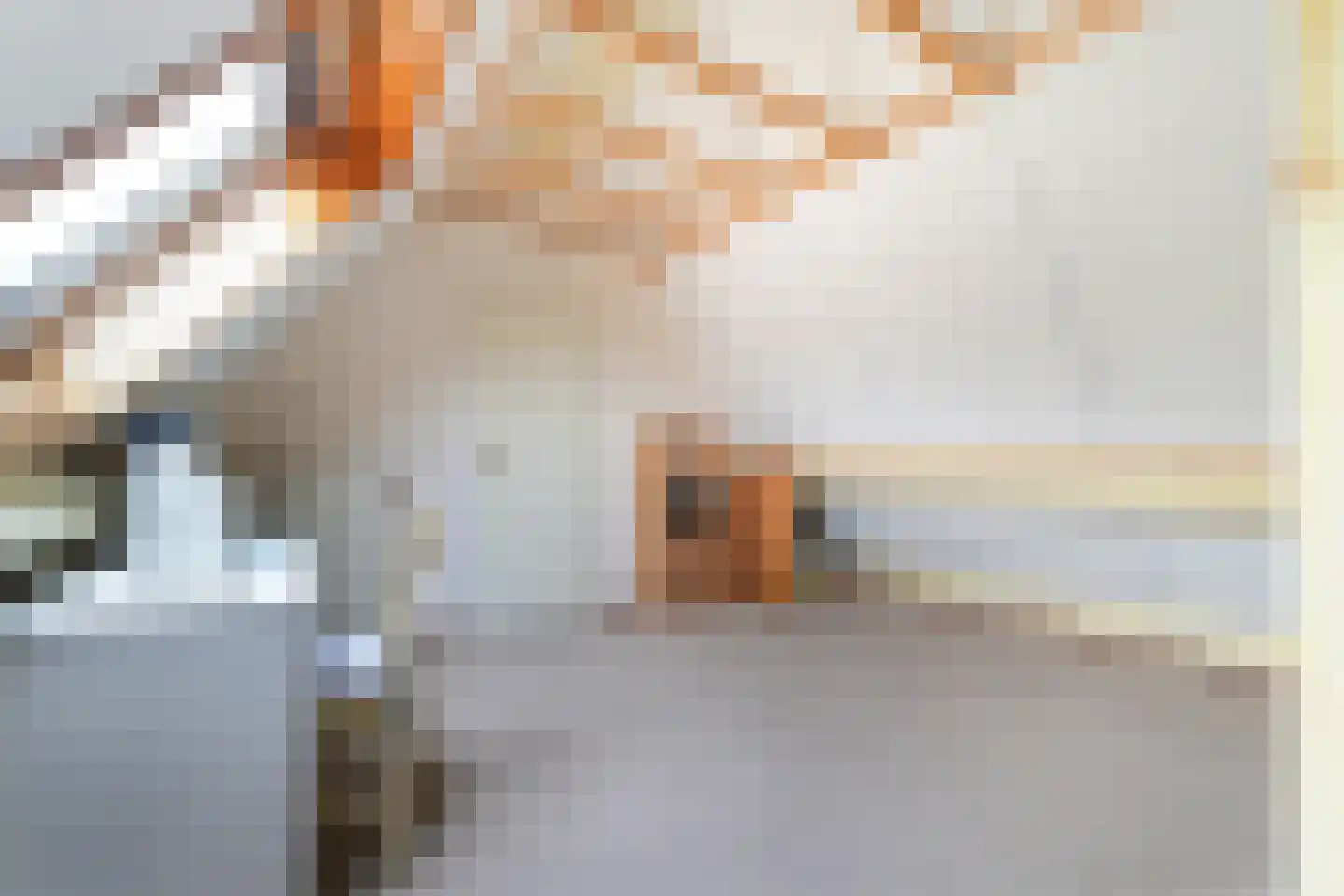 Noordhoek 1 Aagtekerke thumbnail 35