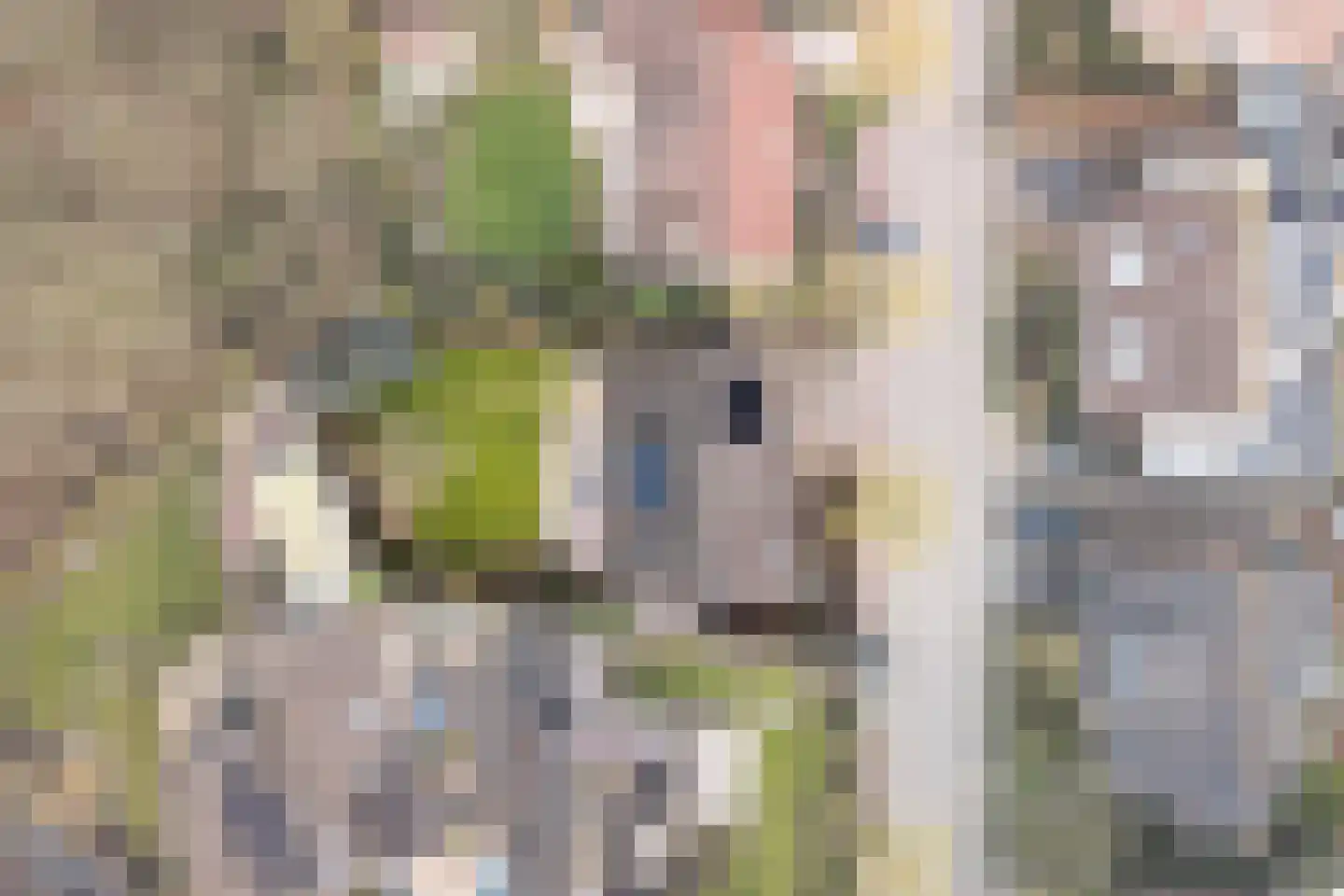Noordhoek 1 Aagtekerke thumbnail 4