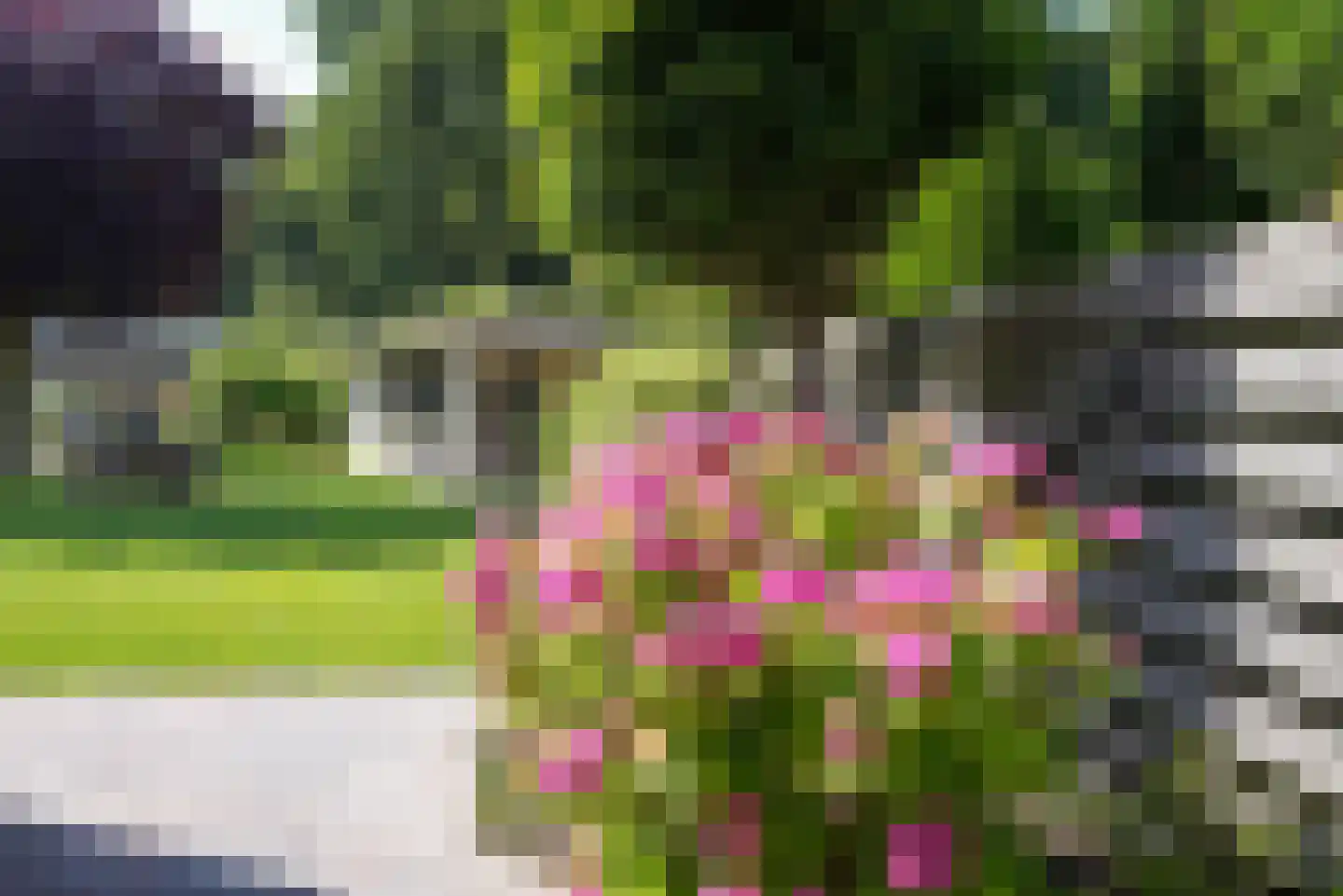Noordhoek 1 Aagtekerke thumbnail 47