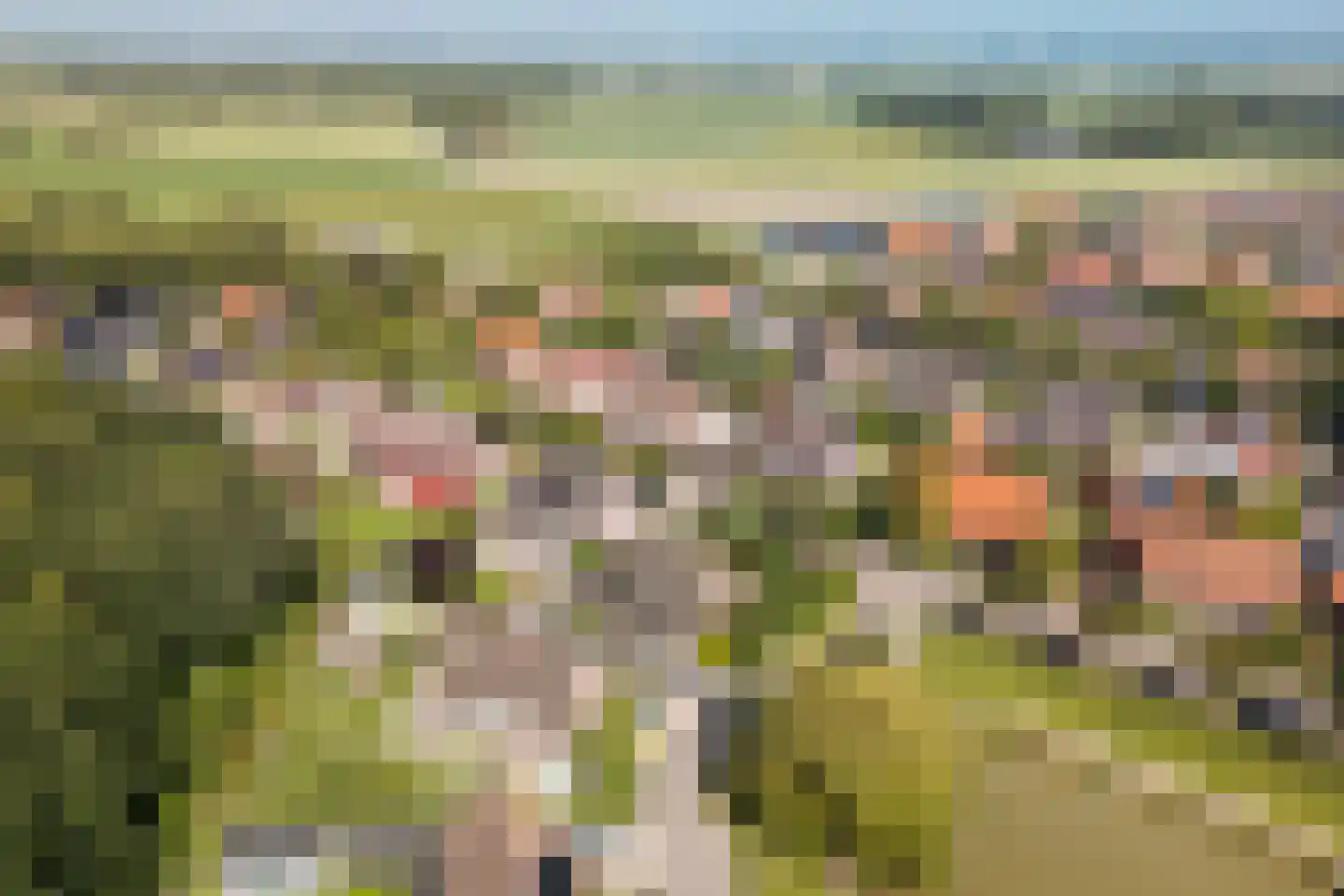 Noordhoek 1 Aagtekerke thumbnail 53