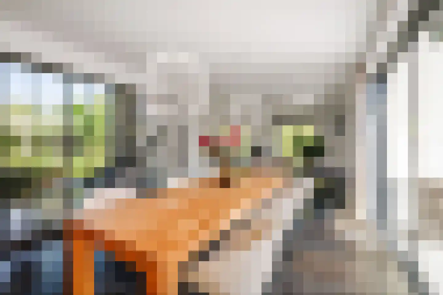 Noordhoek 3 Diepenveen thumbnail 10