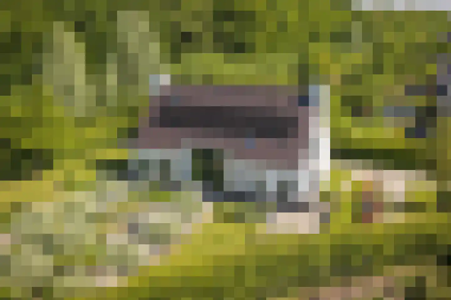Noordhoek 3 Diepenveen thumbnail 22