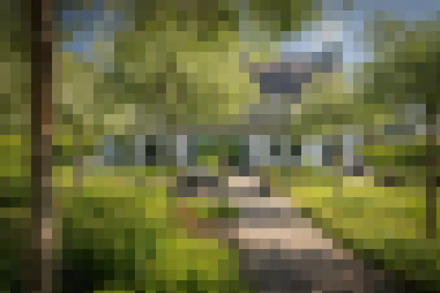 Noordhoek 3 Diepenveen thumbnail 25