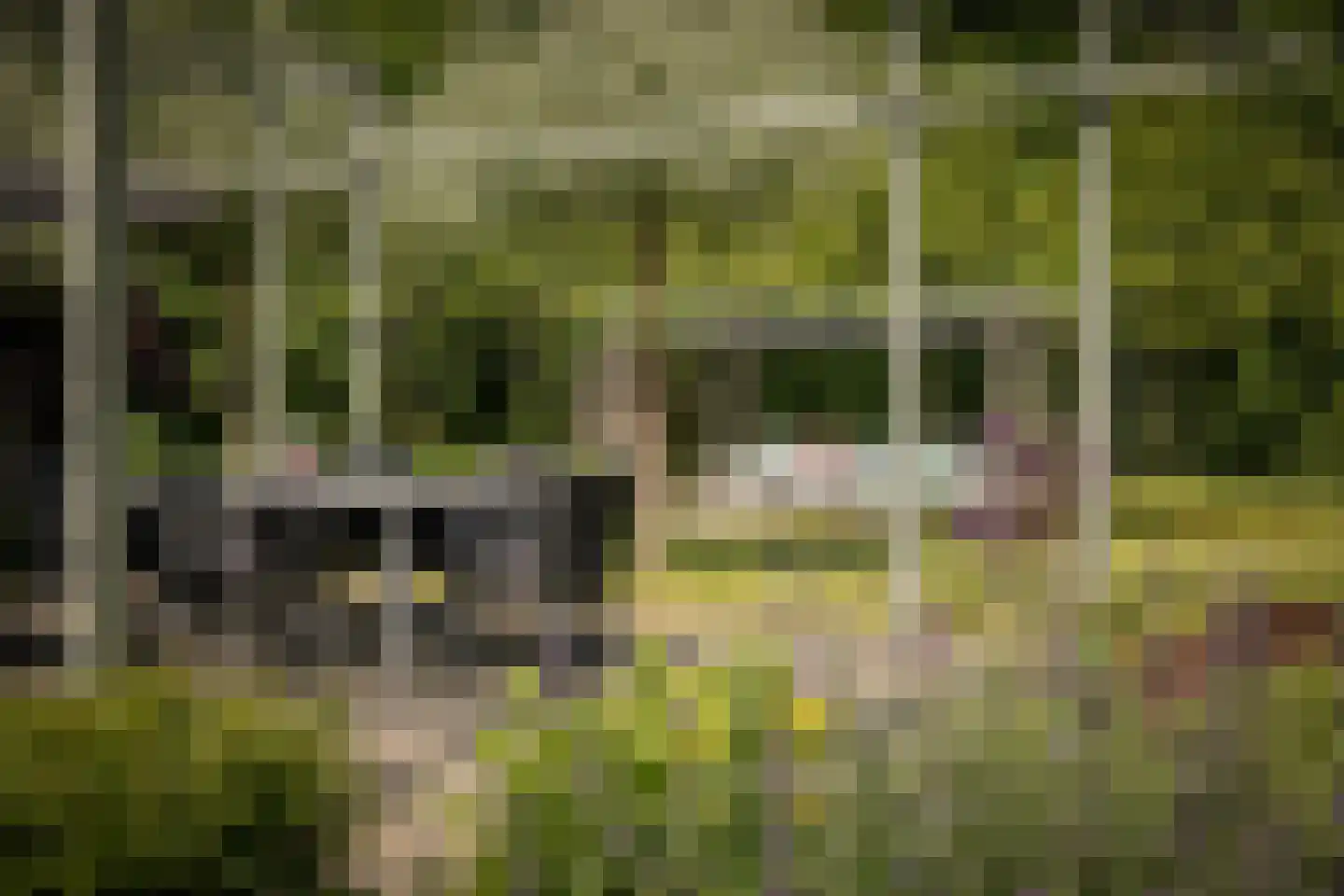 Noordhoek 3 Diepenveen thumbnail 26