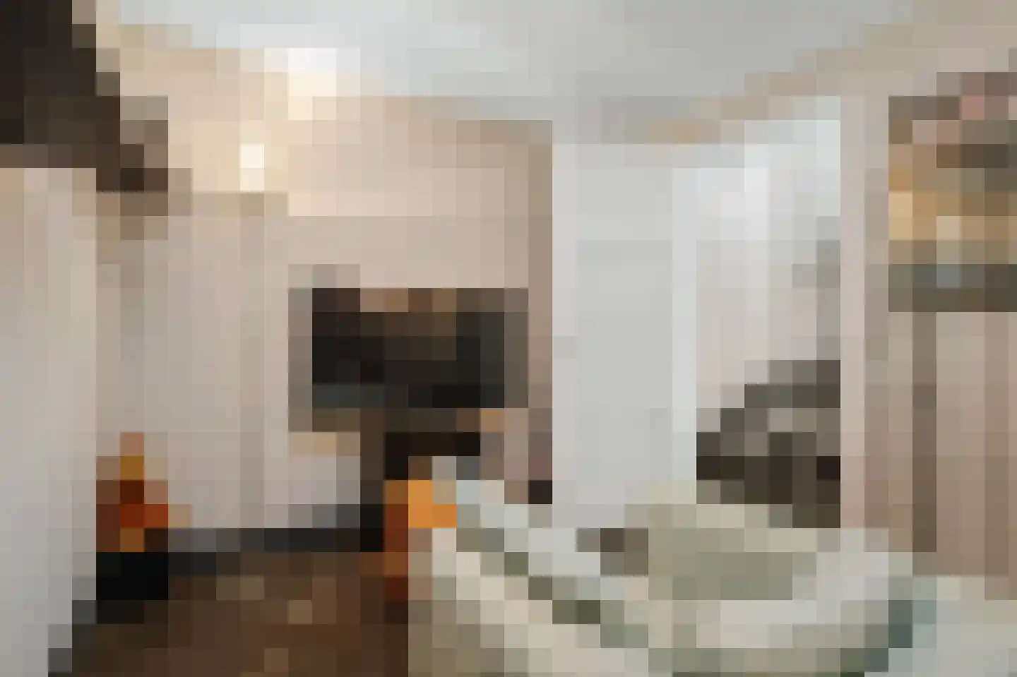 Noordhoek 3 Diepenveen thumbnail 29