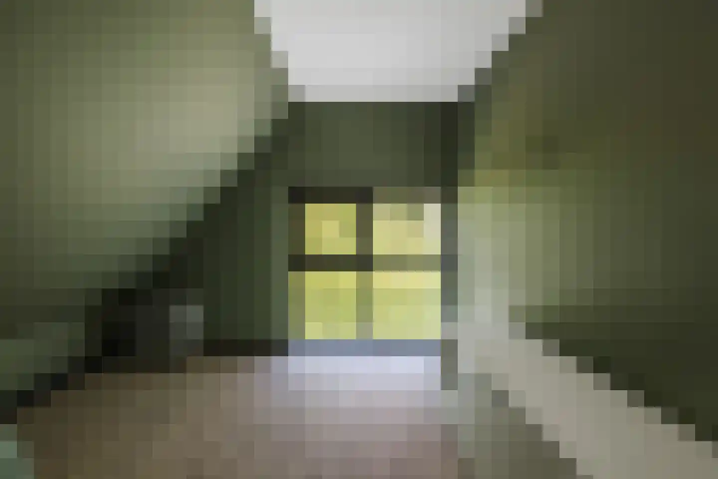 Noordhoek 3 Diepenveen thumbnail 43