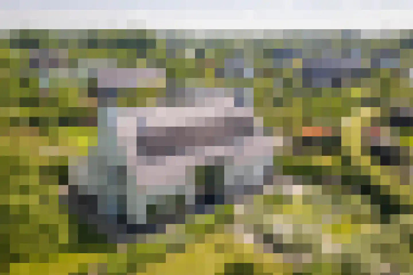 Noordhoek 3 Diepenveen thumbnail 50