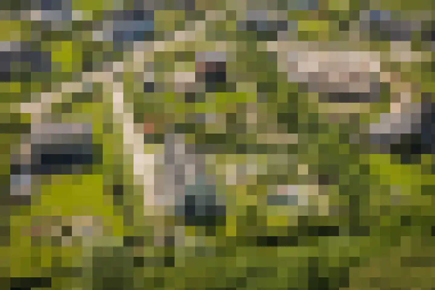 Noordhoek 3 Diepenveen thumbnail 51
