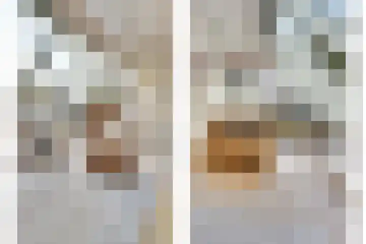 Noordhoeklaan 12 Goes thumbnail 12