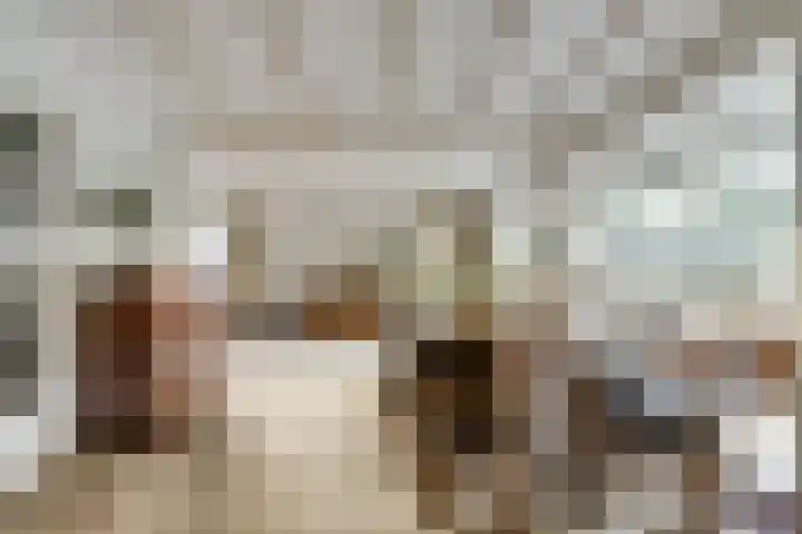 Noordhoeklaan 12 Goes thumbnail 13