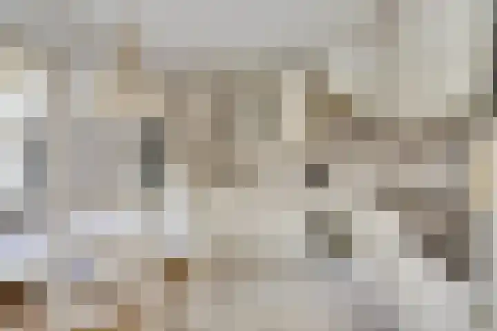 Noordhoeklaan 12 Goes thumbnail 16