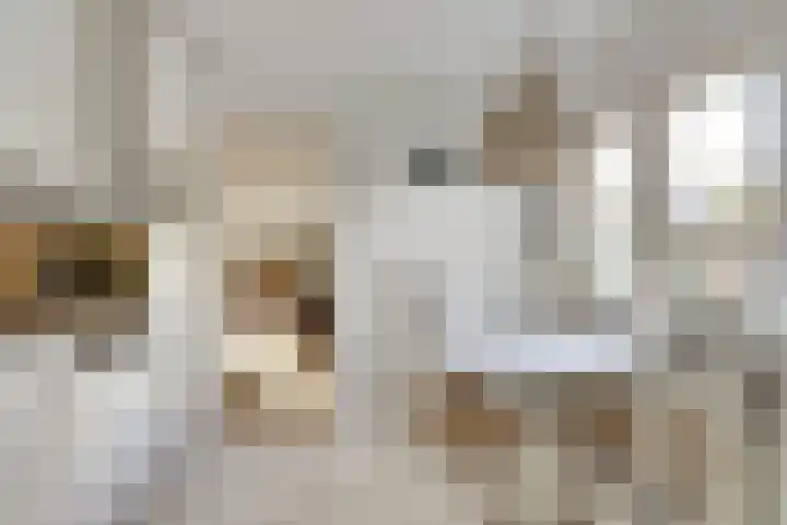 Noordhoeklaan 12 Goes thumbnail 18