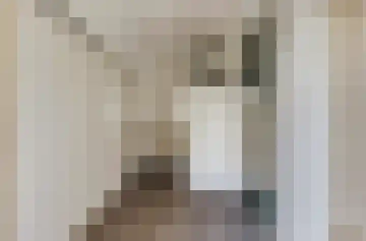 Noordhoeklaan 12 Goes thumbnail 19
