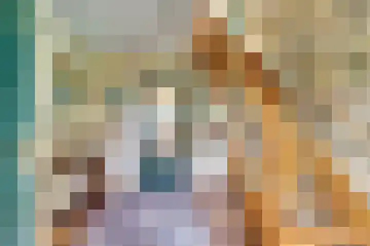 Noordhoeklaan 12 Goes thumbnail 20