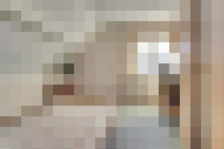 Noordhoeklaan 12 Goes thumbnail 24