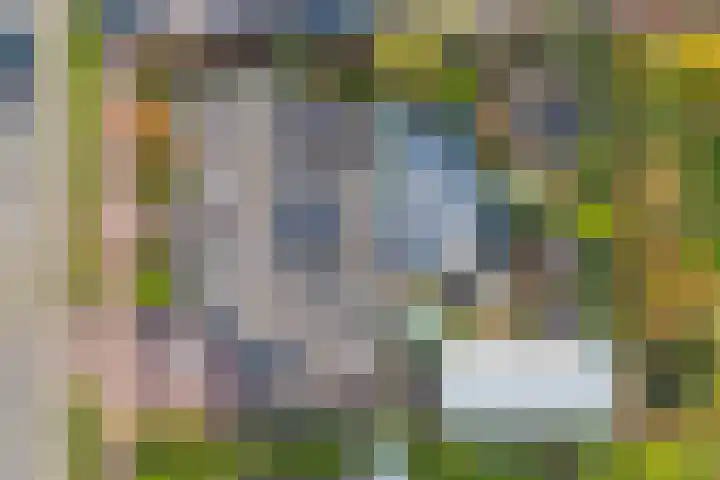 Noordhoeklaan 12 Goes thumbnail 4
