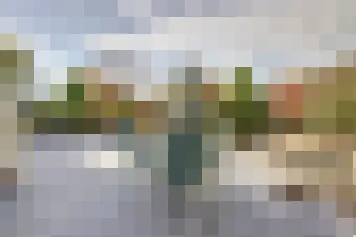 Noordhoeklaan 12 Goes thumbnail 40