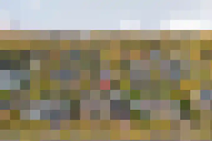 Noordhoeklaan 12 Goes thumbnail 42