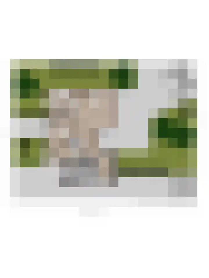 Noordhoeklaan 12 Goes thumbnail 44