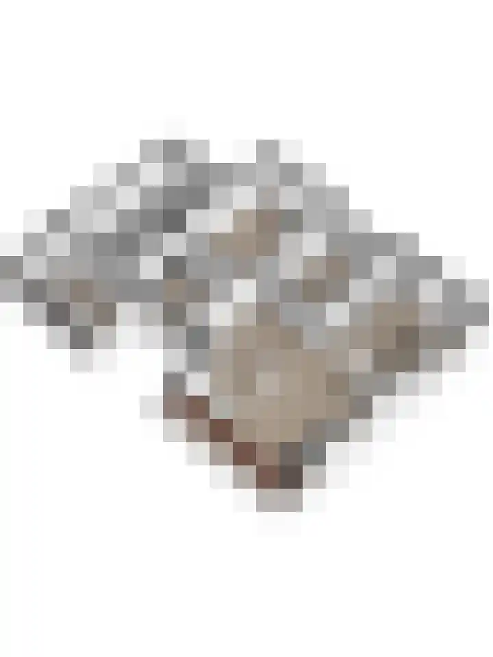 Noordhoeklaan 12 Goes thumbnail 48