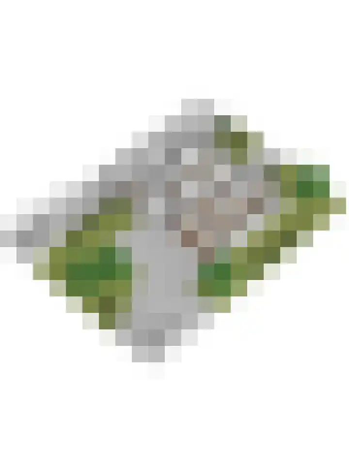 Noordhoeklaan 12 Goes thumbnail 51