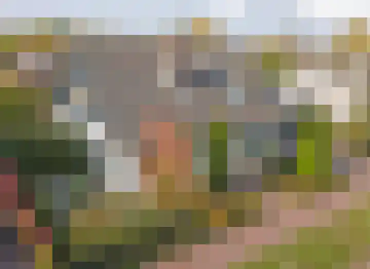 Noordhoeklaan 12 Goes thumbnail 6