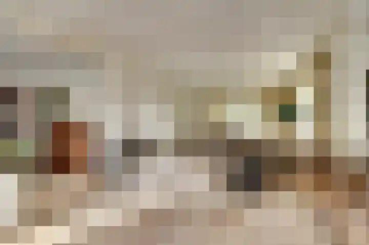 Noordhoeklaan 12 Goes thumbnail 8