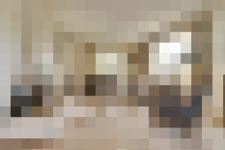 Noordhoeklaan 12 Goes thumbnail 9