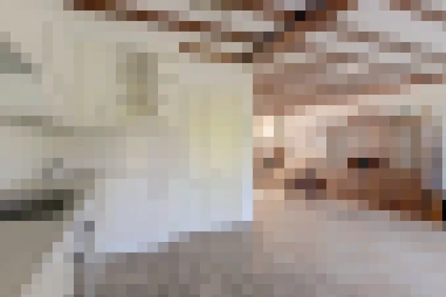 Noordhoeklaan 14 Goes thumbnail 12