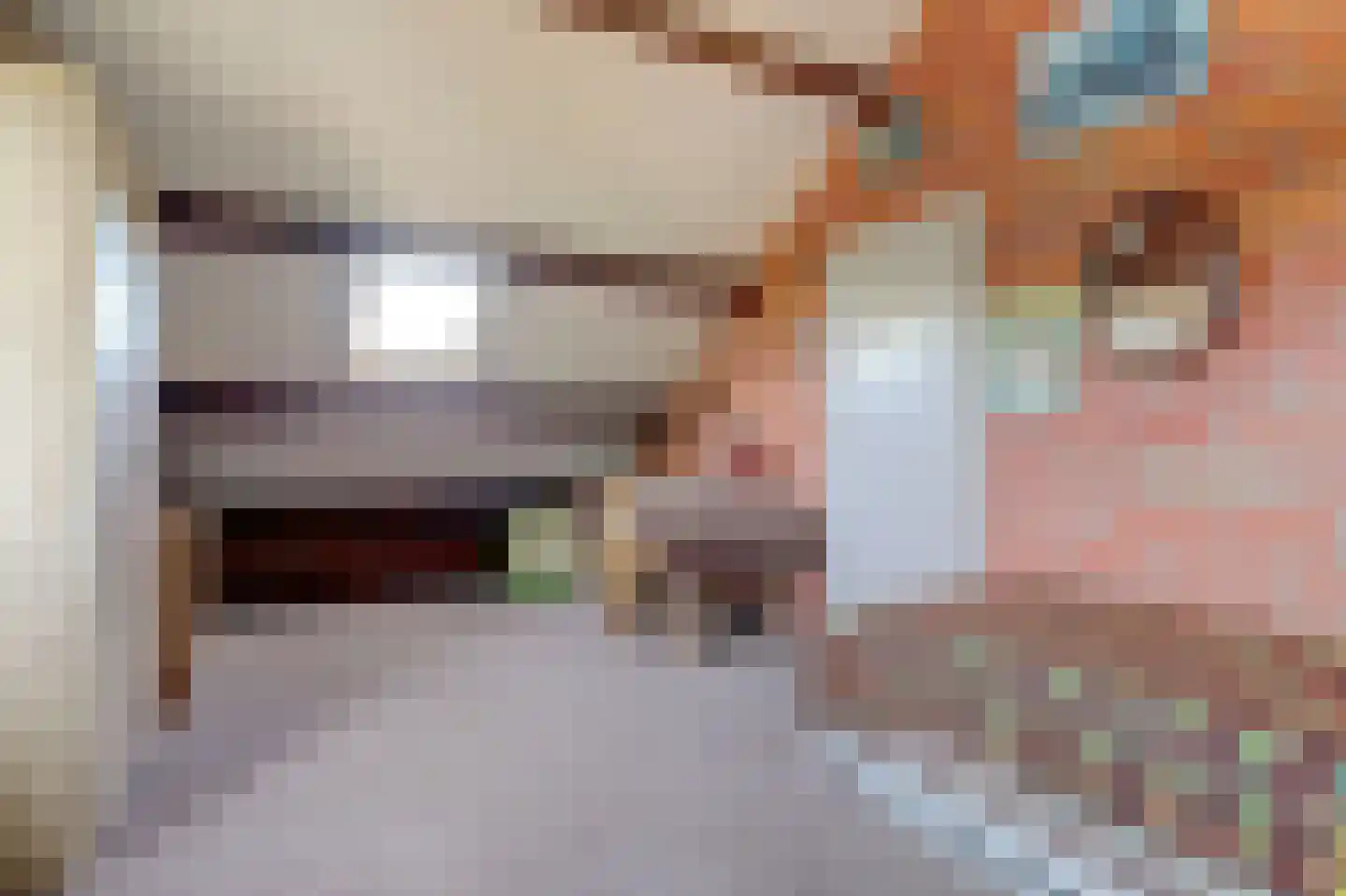 Noordhoeklaan 14 Goes thumbnail 23