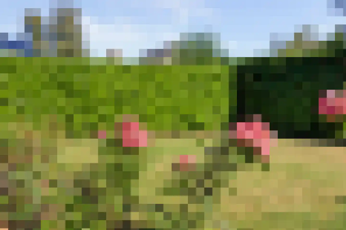 Noordhoeklaan 14 Goes thumbnail 35