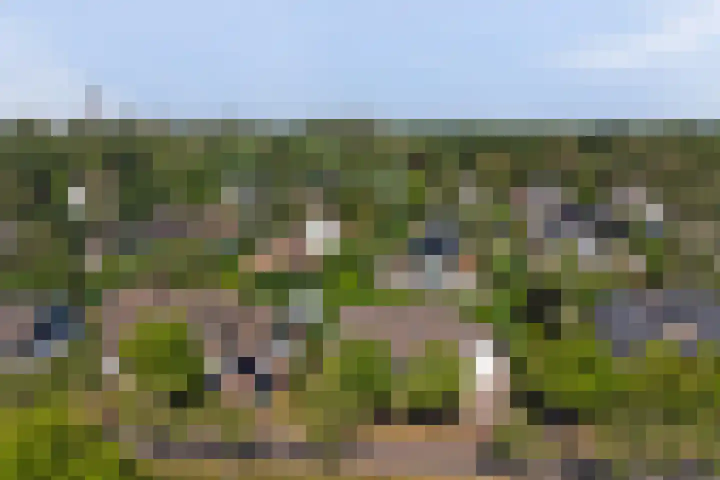 Noordhoeklaan 14 Goes thumbnail 38