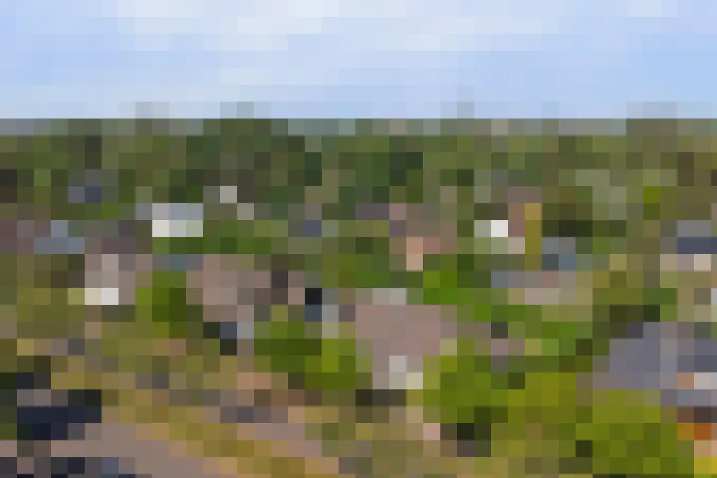 Noordhoeklaan 14 Goes thumbnail 39